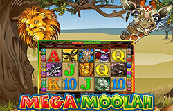 Mega Moolah Slot Review NZ