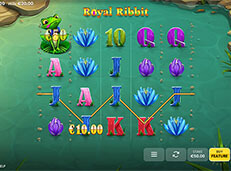 Casino Days NZ review screenshot