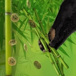 Royal Panda Now Rewards Its Customers with an Exclusive $150 Weekly Bamboo Bonus